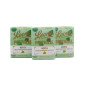Pastiglie Leone Menta Italian Candy
