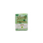 Pastiglie Leone Menta Italian Candy