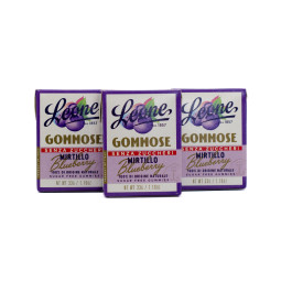 Pastiglie Leone Sugar-Free Mirtillo Italian Gummy Candy